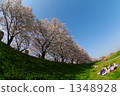 Cherry blossoms at fine weather - Overlooking with fish eyes 1348928