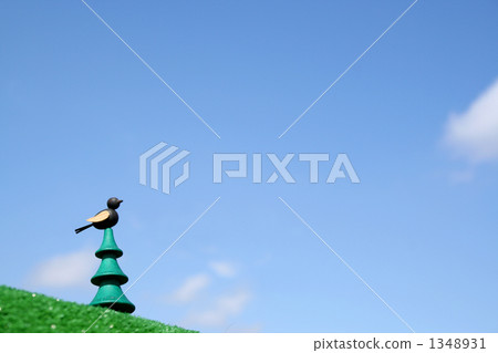 藍天和鳥類 藍天和鳥類 1348931