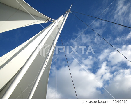 Looking up the sky Looking up the sky 1349361