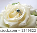 玫瑰和訂婚戒指 1349822