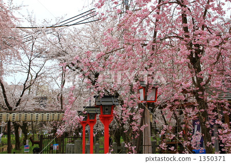 Hirano Shrine 1350371