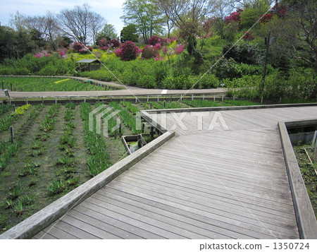 Sho-zuen Sho-zuen 1350724