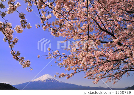 mountain fuji, mt fuji, mt.fuji 1350789