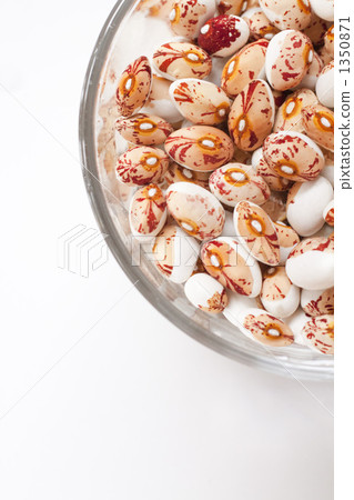 Tiger beans soaked in water 1350871