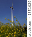 風力發電和油菜花 1351029
