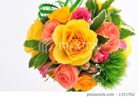 圓的 婚禮 結婚 1351762