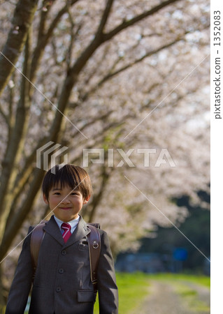 boy, elementary student, primary school child 1352083