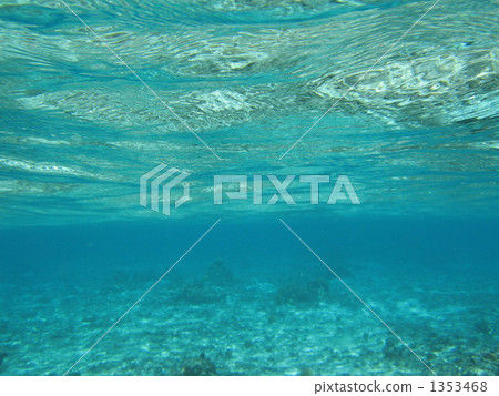 Under water 250 1353468