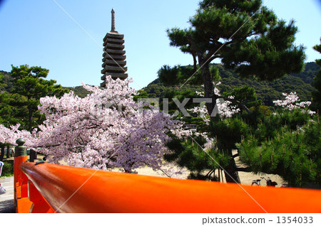 ten triple of stone pagoda, pine, pinetree 1354033