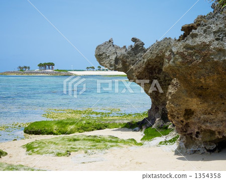 海洋博覽園 1354358