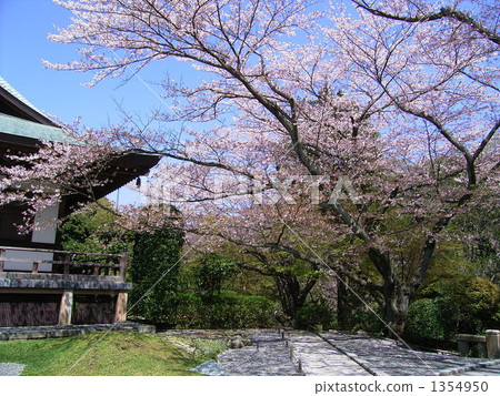 Hokokuji Temple Hokokuji Temple 1354950