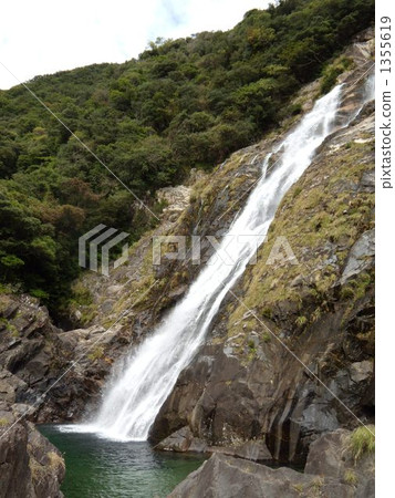Yakushima · Japan's waterfall 100 Okawa Falls 1355619