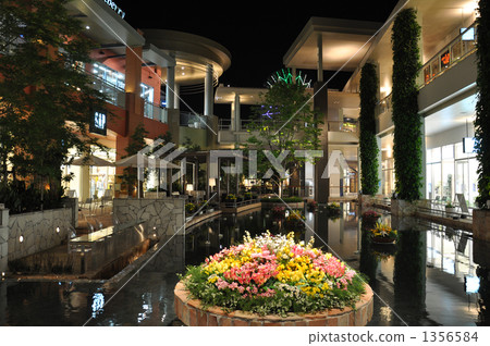 公園廣場 1356584