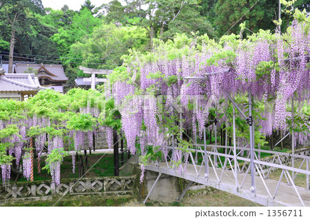 Nishito Takashi Shrine Fuji 1356711