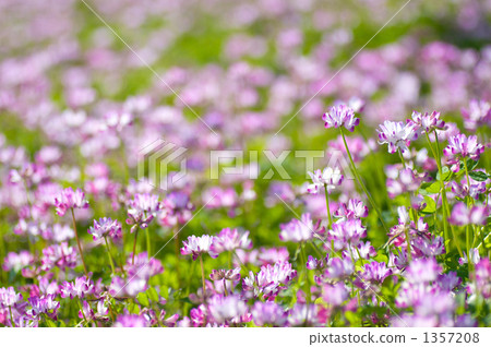 Rengesou Rengesou 1357208