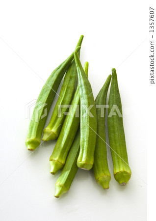 秋葵 蔬菜 白色背景 1357607