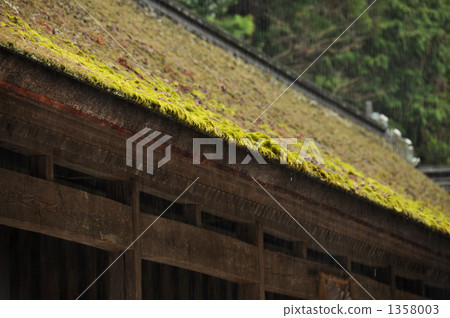 The mossy roof of the shrine 1358003
