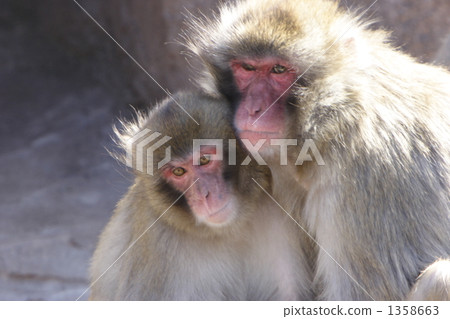 通過情人 1358663