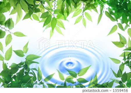 Fresh green frame and ripples Fresh green frame and ripples 1359456