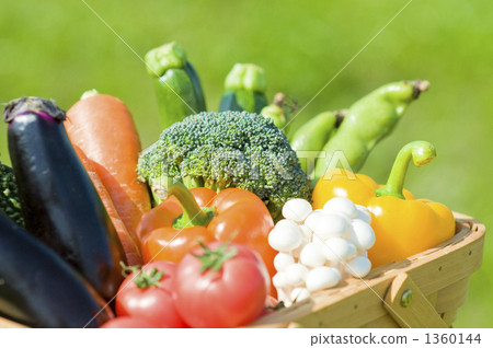 西蘭花 花椰菜 茄子 1360144