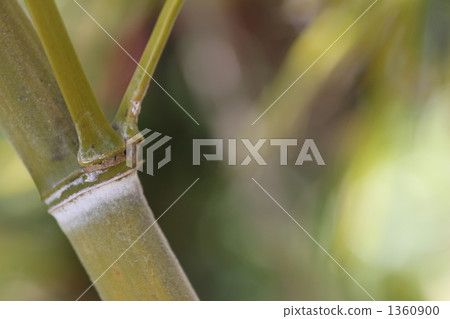 在花園裡的時刻 1360900