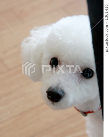 Kyou偷偷地說 1361416