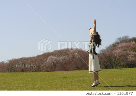 春天到了 1361977