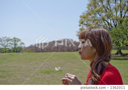 春天到了 1362011