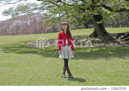 春天到了 1362039