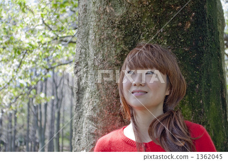 春天到了 1362045