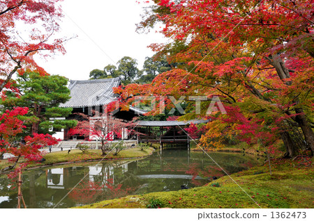 Kodaiji在秋天 1362473