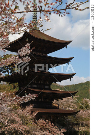 Rurikoji Temple Five-story pagoda in the cherry tree Rurikoji Temple Five-story pagoda in the cherry tree 1363013