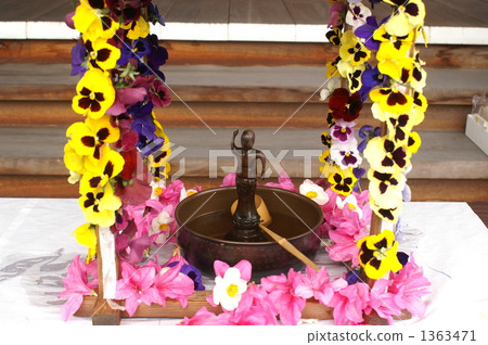 Flower Festival Flower Festival 1363471