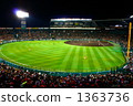 阪神甲子園球場的夜場比賽 1363736