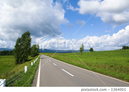 road, avenues, path 1364001