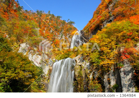 Fall of fall of autumn leaves Fall of fall of autumn leaves 1364984