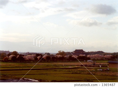 Daigakudo /晚上景觀 1365487