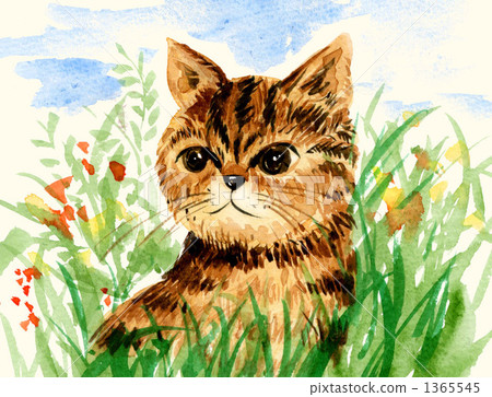 Garden cat Garden cat 1365545