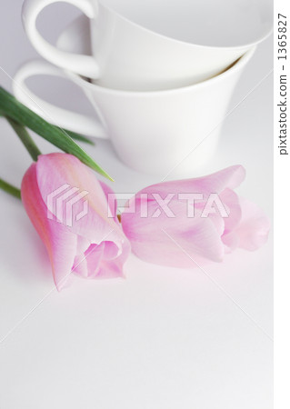 杯子 馬克杯 鬱金香 1365827