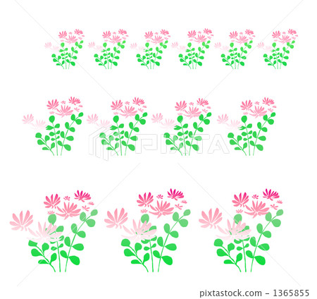 Astragalus flowers 1365855