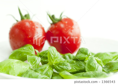 迷你番茄和羅勒 迷你番茄和羅勒 1366543