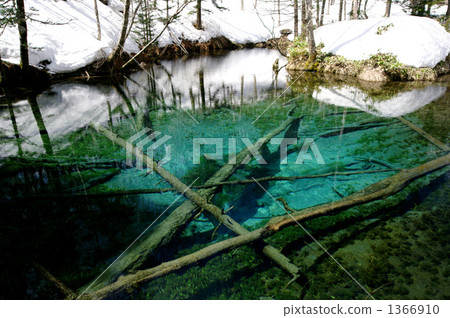 God's Pond God's Pond 1366910