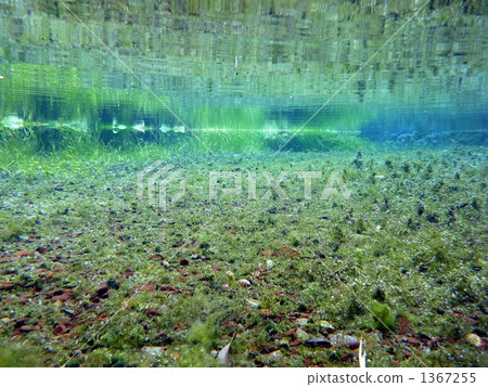 Underwater landscape 1367255
