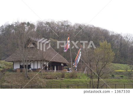 茅草屋頂 分類樹 在山里 1367330