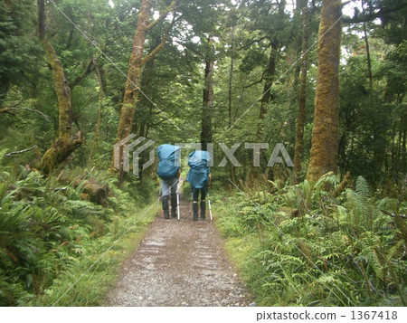 walking, walk, walks 1367418