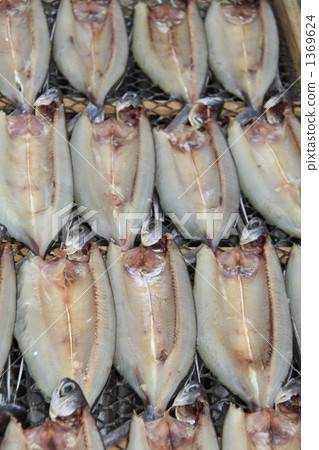 Dried mackerel Dried mackerel 1369624