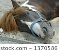 Tired 1370586