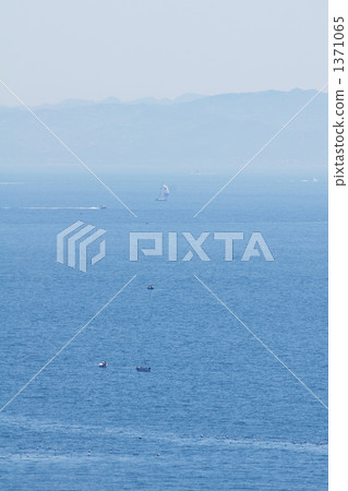 浦賀水道 漁船 遊艇 1371065
