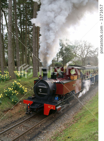 Locomotive of the Weppsnade Zoo 1371657