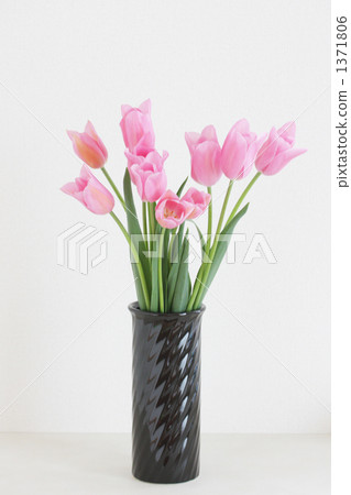 花瓶 鬱金香 室內照片曝光 1371806